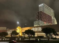 提供往返港澳的過境巴士服務(如果您的業務包含)。