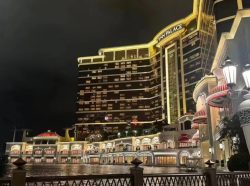 提供專業香港租車服務。